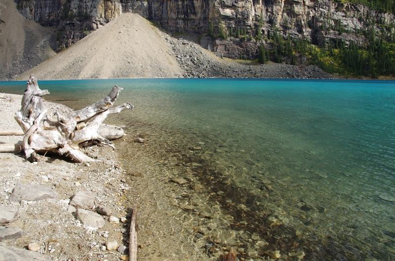 Banff NP 'Moraine  Lake Lakeshore' 16_09_2011 (266).JPG